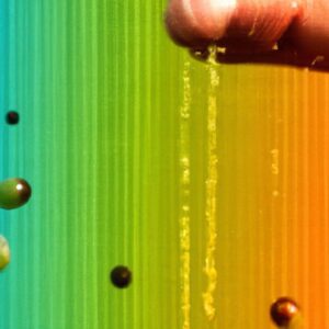Agronegócio e Inovação em Biotecnologia