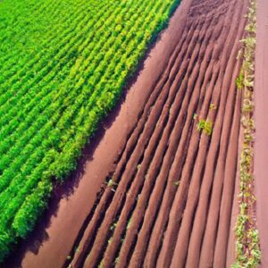 Agronegócio e Políticas Públicas Sustentáveis
