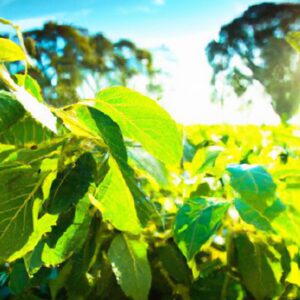 Agronegócio e Tecnologias Verdes