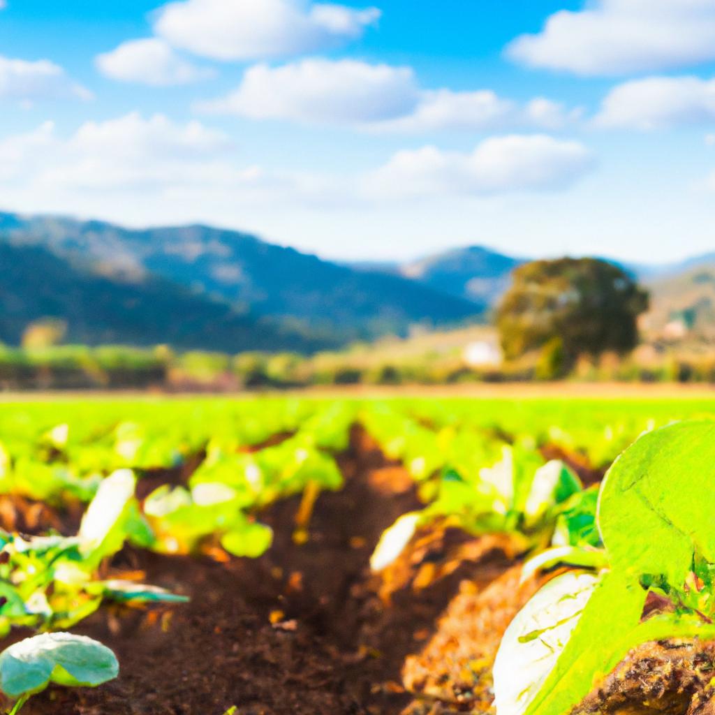 Boas Práticas Agropecuárias: Recomendações para Produzir com Responsabilidade